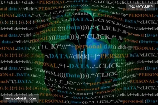 CISA将Linux内核漏洞添加到KEV列表 媒体