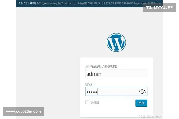 WordPress网站受到新型插件欺骗后门的攻击 媒体