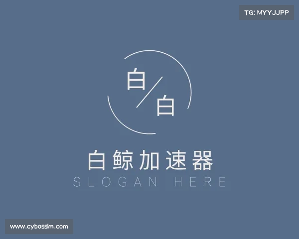 介绍白鲸加速器